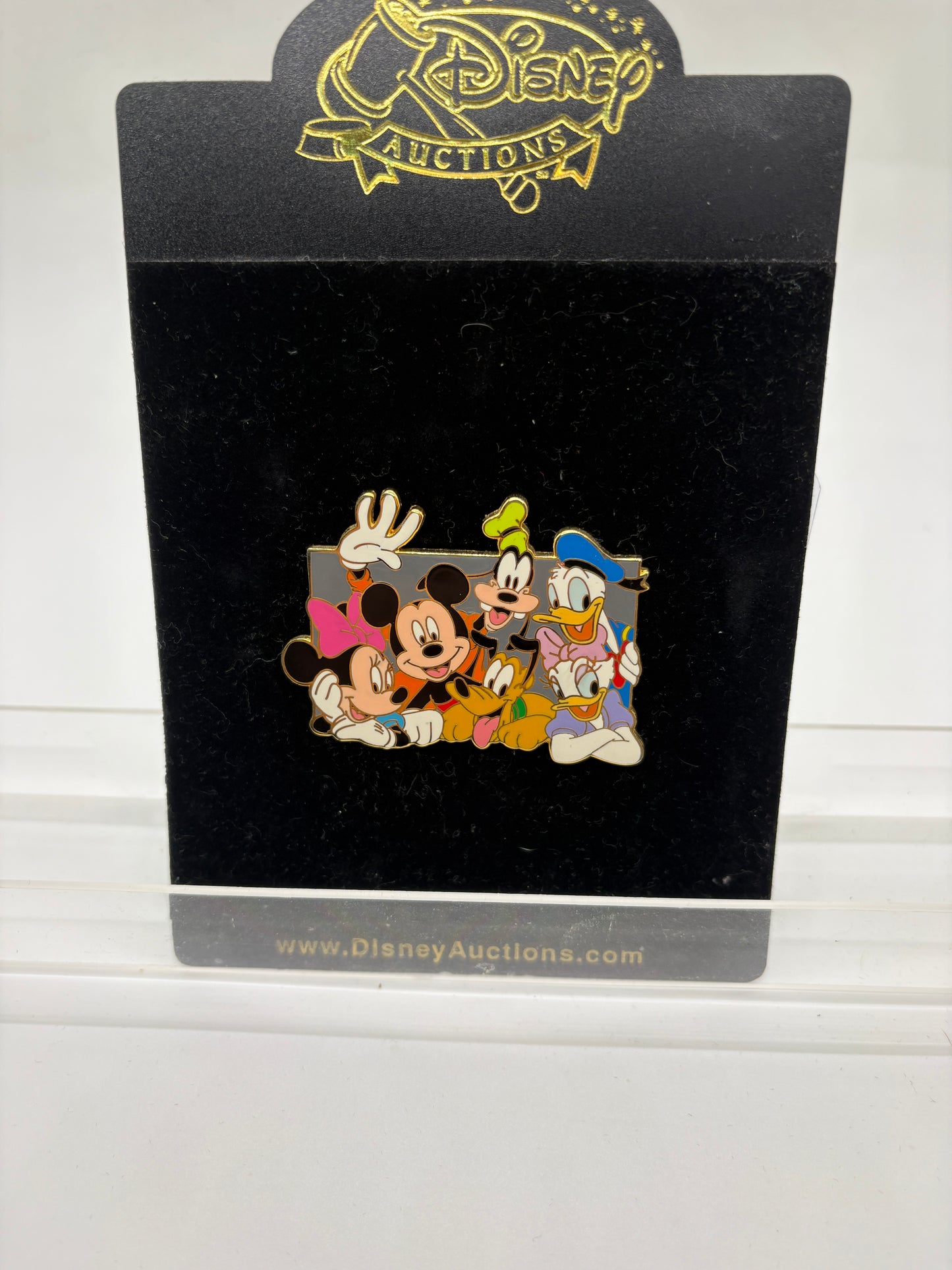 Mickey & Friends Group Portrait