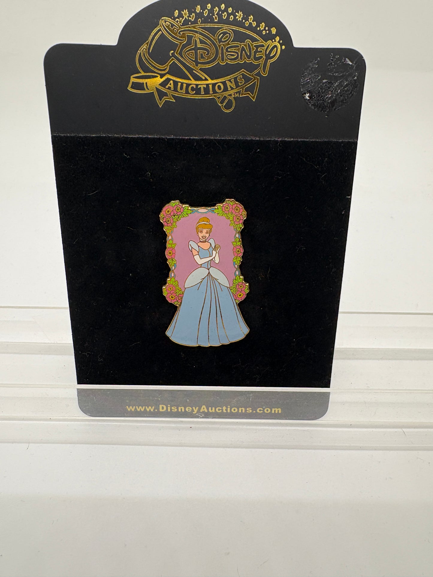 Cinderella in a Floral Frame