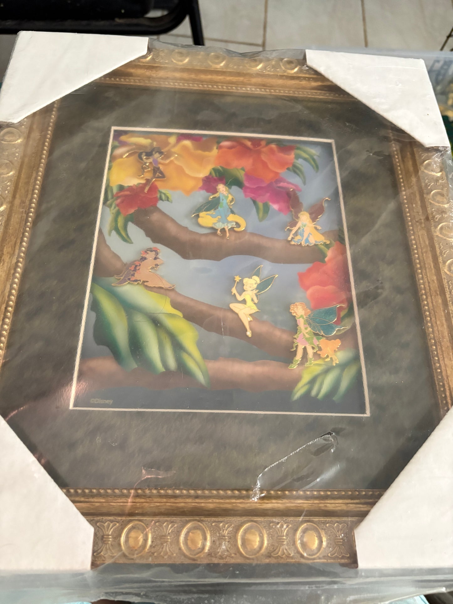 Tinkerbell and Faires Framed Set